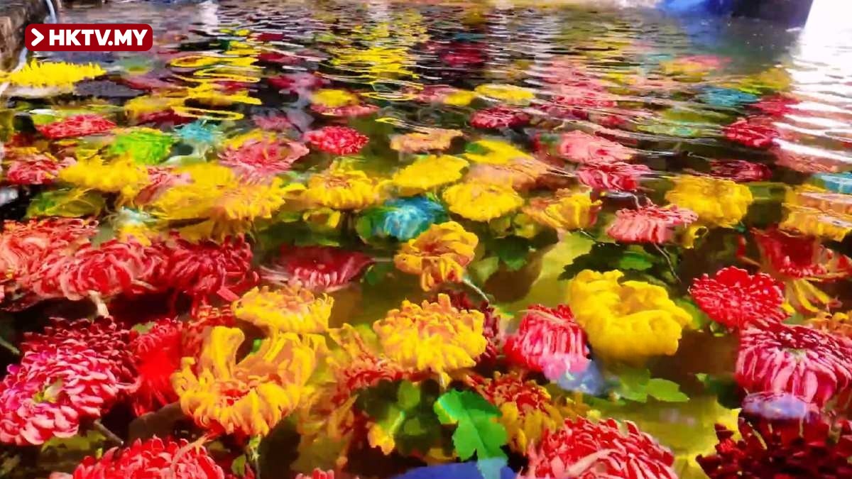 Kaifeng Submerged Chrysanthemums Stunning Netizens, Praised as Monet-like Oil Paintings