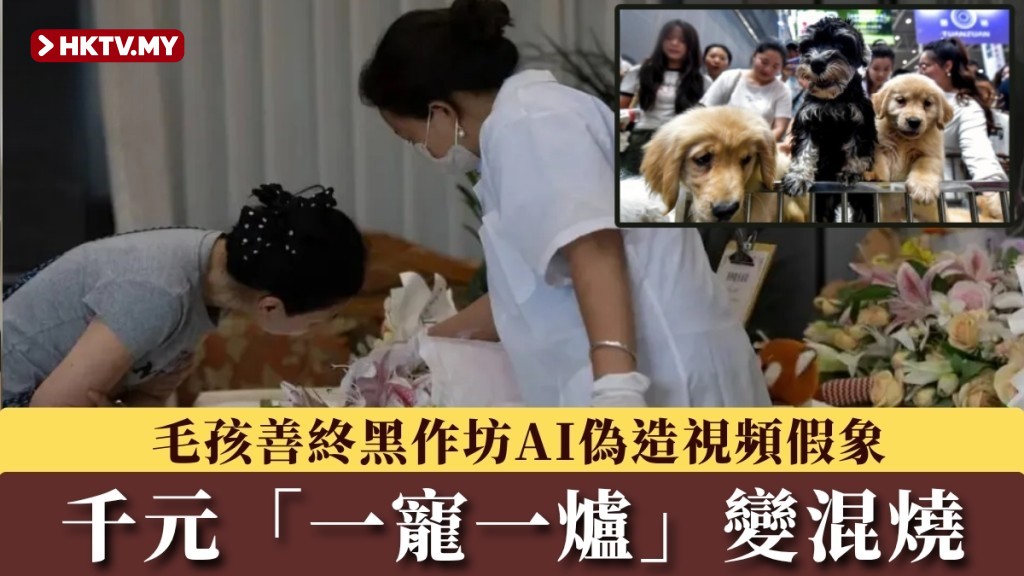 Fraudulent Pet Funerals: Black Workshops Burn Remains Together in Modified Trains, AI Fakes 'One Pet, One Furnace' Video
