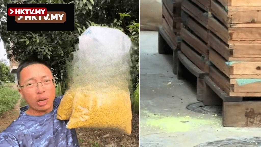Food Safety Crisis | Guilin 'Sulfur Osmanthus' Scandal Confirmed by Authorities, Netizens Concerned for Investigator's Safety