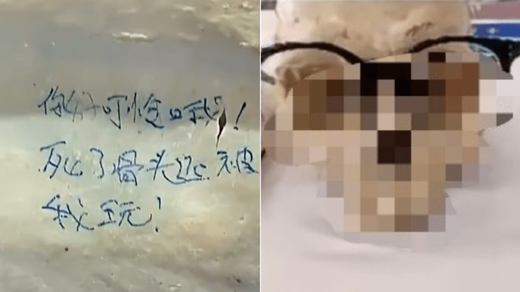 Cadaver Teacher | Medical Students in China Write Slanders on Skeletons, Wear Skulls with Glasses, Spark Outrage